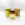 Dolce & Gabbana The One Gold - 100ml EDP Intense