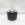 Jaguar Classic Chromite - 100ml EDT